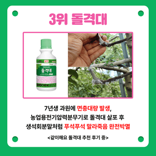 팜모닝님의 팜모닝공식 · 농사정보 작성글 사진