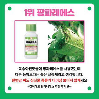 팜모닝님의 팜모닝공식 · 농사정보 작성글 사진