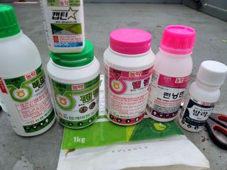 윤채열님의 고추 · 영농일지 작성글 사진