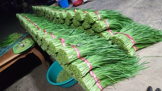 김종길님의 나의 농사 필수품 소개하기 · 참여글 작성글 사진