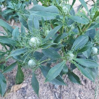 신형식 님의 자유주제 · 사진전 작성글 사진