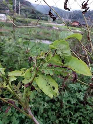 장준호님의 자유주제 · 자유게시판 작성글 사진