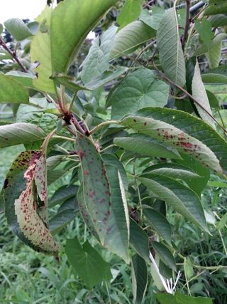 장준호님의 자유주제 · 자유게시판 작성글 사진