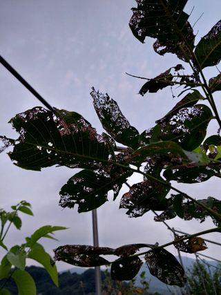 장준호님의 자유주제 · 자유게시판 작성글 사진