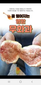 팜모닝 · 게시글 이미지