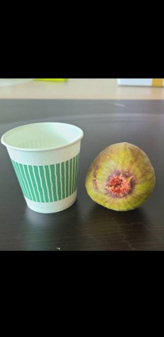 오아성님의 작성글 사진