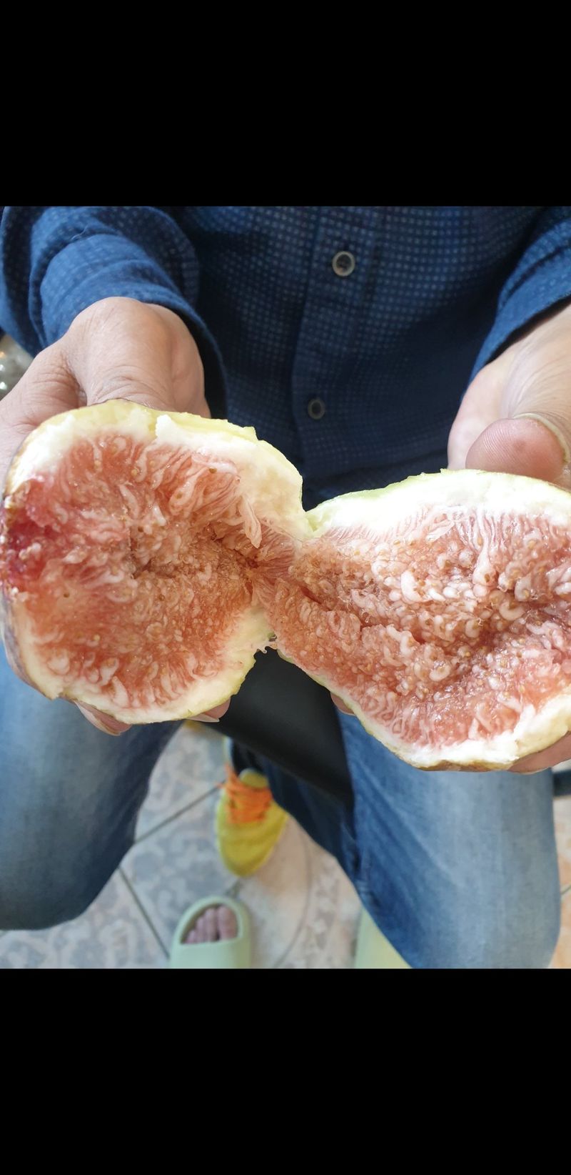 오왕건님의 장터 판매 상품 [꿀 무화과1k~1.2k(내외)] 첨부 사진