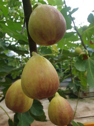 오아성님의 작성글 사진