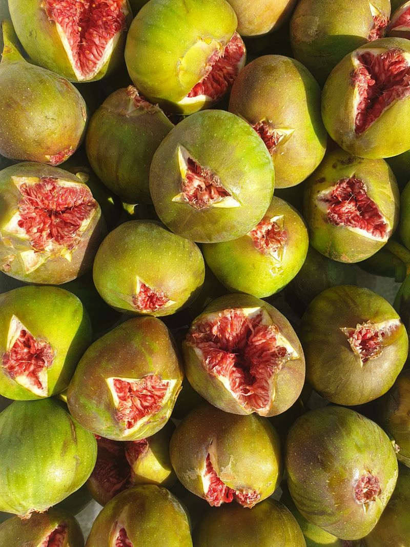 오왕건님의 장터 판매 상품 [꿀 무화과1k~1.2k(내외)] 첨부 사진