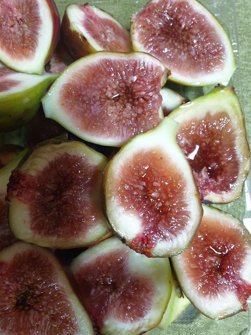 오아성님의 장터 판매 상품 [꿀 냉동무화과1k(1박스) ♧홍무화과 묘목판매] 첨부 사진