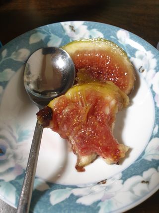 오아성님의 작성글 사진