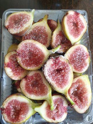 오아성님의 작성글 사진