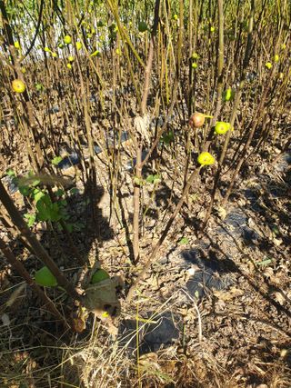 오아성님의 작성글 사진