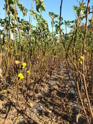 오아성님의 작성글 사진