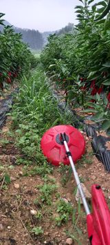 팜모닝 나의 농사 필수품 소개하기·참여글 게시글 이미지