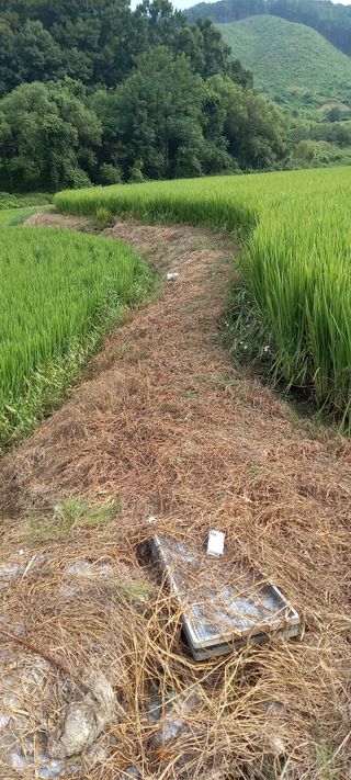 강성분님의 나의 농사 필수품 소개하기 · 참여글 작성글 사진