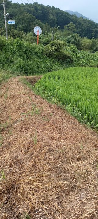 강성분님의 나의 농사 필수품 소개하기 · 참여글 작성글 사진