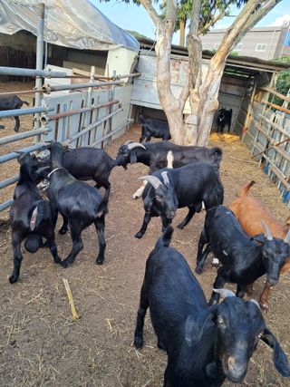 김석현님의 자유주제 · 자유게시판 작성글 사진