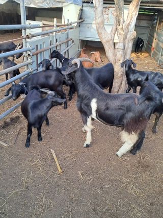 김석현님의 자유주제 · 자유게시판 작성글 사진