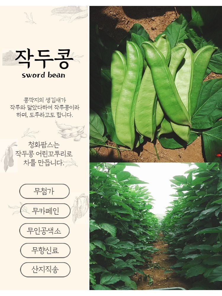 청화팜스님의 장터 판매 상품 [청화팜스 작두콩차 100g X 2 국산] 첨부 사진