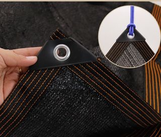 다이쏘(권자영)님의 작성글 사진