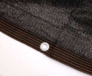 다이쏘(권자영)님의 작성글 사진