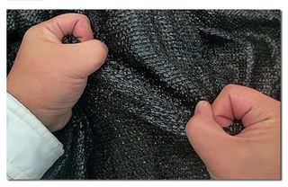 다이쏘(권자영)님의 작성글 사진