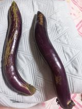 팜모닝 기타작물·병해충상담 게시글 이미지