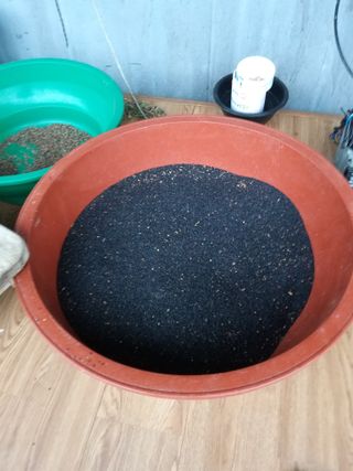 초보굴백이님의 참깨 · 자유게시판 작성글 사진