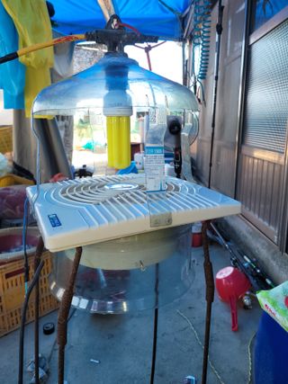 신안 초보님의 자유주제 · 자유게시판 작성글 사진