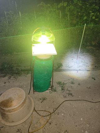 신안 초보님의 자유주제 · 자유게시판 작성글 사진