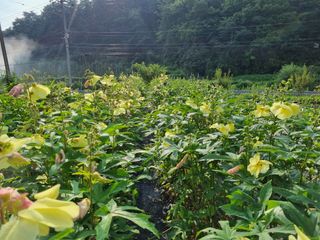 최연재님의 나의 농사 필수품 소개하기 · 참여글 작성글 사진