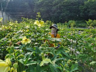 최연재님의 나의 농사 필수품 소개하기 · 참여글 작성글 사진