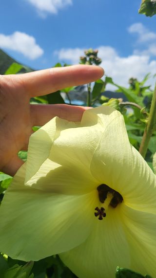 최연재님의 나의 농사 필수품 소개하기 · 참여글 작성글 사진