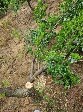 유만종님의 농기계정보 · 자유게시판 작성글 사진