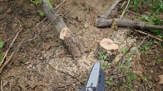 유만종님의 농기계정보 · 자유게시판 작성글 사진