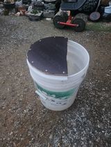 팜모닝 고추·일상 게시글 이미지