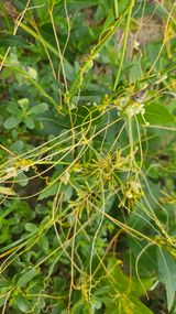 팜모닝 자유주제·자유게시판 게시글 이미지