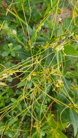 조병대님의 자유주제 · 자유게시판 작성글 사진