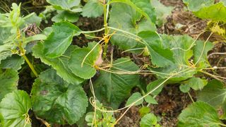 조병대님의 자유주제 · 자유게시판 작성글 사진