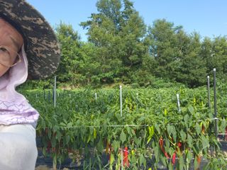 이인구님의 나의 농사 필수품 소개하기 · 참여글 작성글 사진