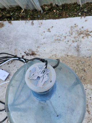 박종언님의 고추 · 일상 작성글 사진