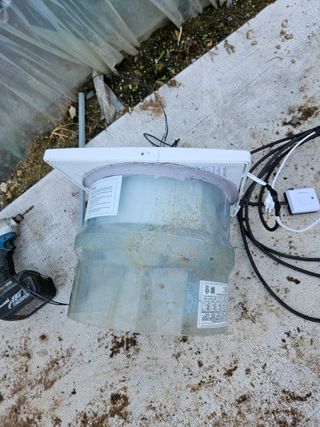 박종언님의 고추 · 일상 작성글 사진