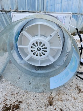 박종언님의 고추 · 일상 작성글 사진