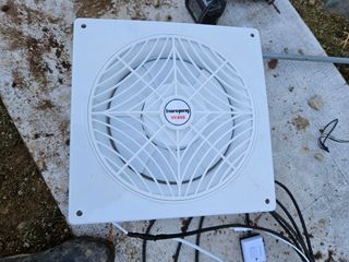 박종언님의 고추 · 일상 작성글 사진