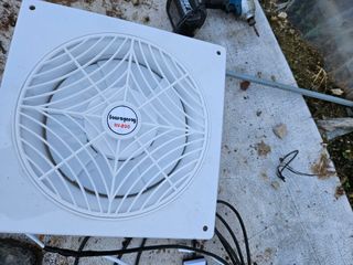 박종언님의 고추 · 일상 작성글 사진