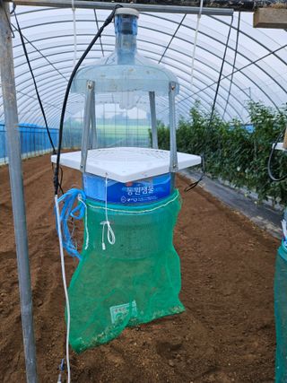 박종언님의 고추 · 일상 작성글 사진