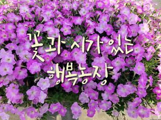 행복농장님의 자유주제 · 자유게시판 작성글 사진