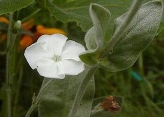 행복농장님의 자유주제 · 자유게시판 작성글 사진