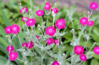 행복농장님의 자유주제 · 자유게시판 작성글 사진